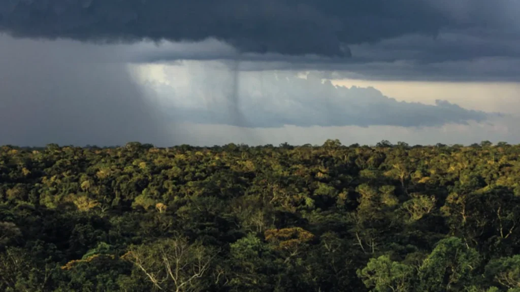 Mudanças Climáticas Potencializam Sensibilidade da Amazônia ao Desmatamento: Impactos até 2050 Mudanças Climáticas Potencializam Sensibilidade da Amazônia ao Desmatamento: Impactos até 2050