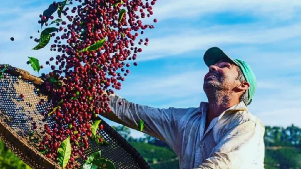 Fazenda Paulista Lança Café Especial Inspirado na Copa do Mundo para Conquistar Consumidores