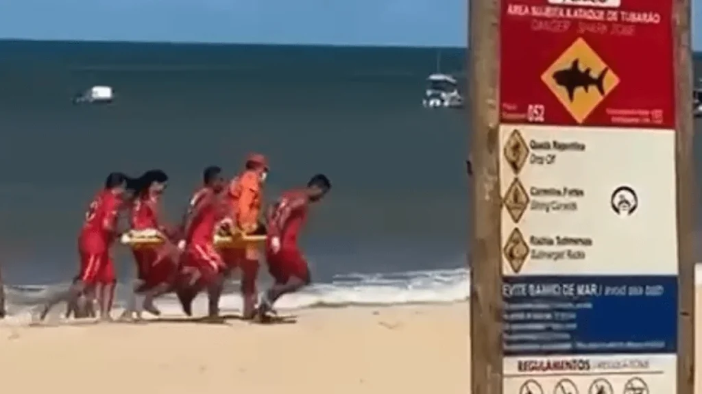 Criança de 11 anos é atacada por tubarão em praia de Pernambuco; confira estado de saúde e riscos