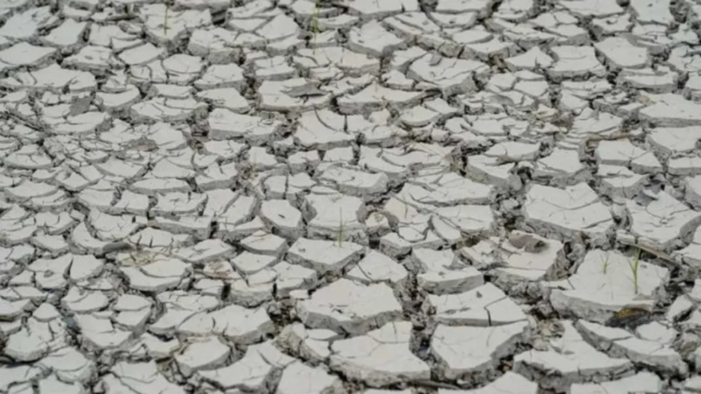 El Niño: ONU alerta para intensificação do fenômeno e riscos climáticos em 2024