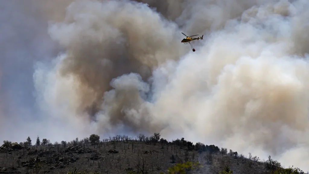 Incêndios Intensificados pelo Calor Extremo Devastam Mais de 17 Mil Hectares na Europa
